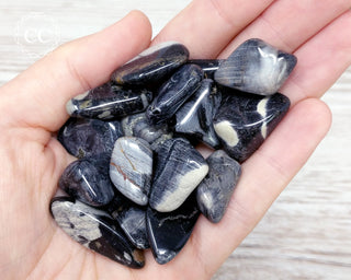 Silver Leaf Jasper Tumbled Crystals in hand