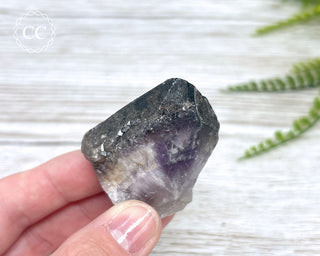 Smoky Amethyst #8