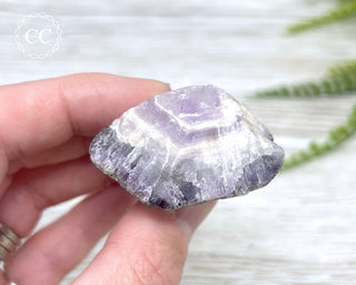 Smoky Amethyst #16