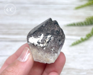 Smoky Amethyst #17