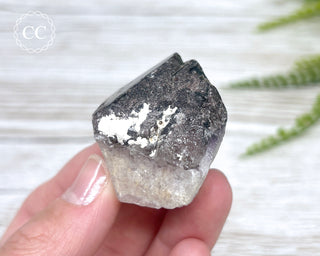 Smoky Amethyst #17