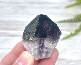 Smoky Amethyst #19