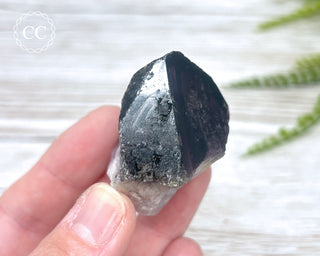 Smoky Amethyst #19