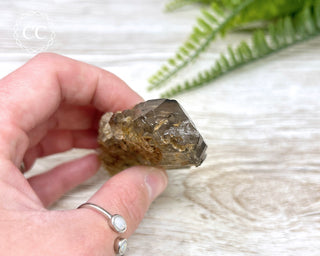 Smoky Elestial Quartz #1