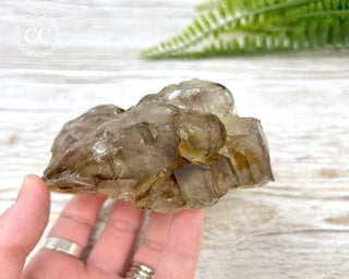 Smoky Elestial Quartz #3