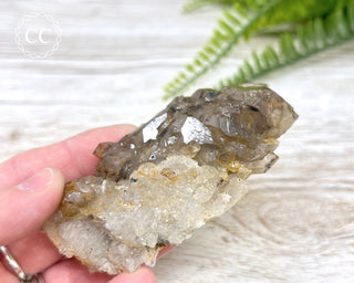 Smoky Elestial Quartz #1
