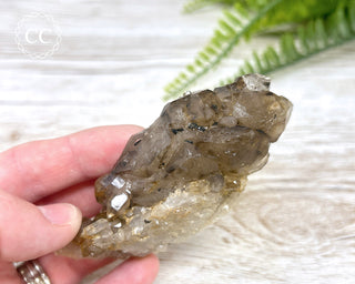 Smoky Elestial Quartz #1