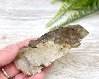 Smoky Elestial Quartz #1