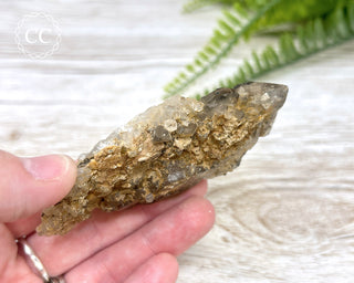Smoky Elestial Quartz #1