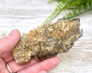 Smoky Elestial Quartz #1