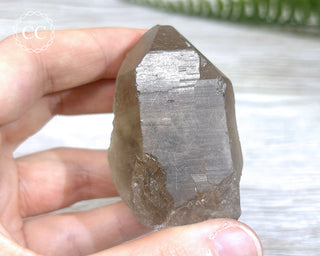 Smoky Rutilated Quartz Point #7