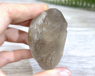 Smoky Rutilated Quartz Point #7