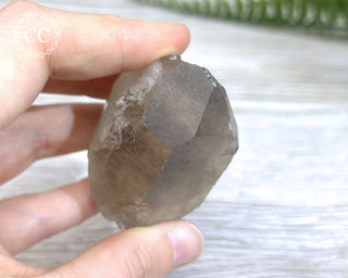 Smoky Rutilated Quartz Point #7