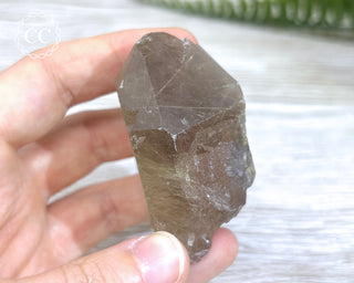 Smoky Rutilated Quartz Point #7