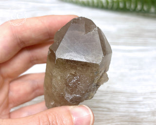 Smoky Rutilated Quartz Point #7