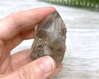 Smoky Rutilated Quartz Point #7
