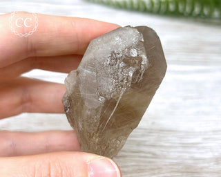Smoky Rutilated Quartz Point #7