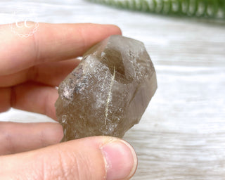 Smoky Rutilated Quartz Point #7