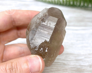 Smoky Rutilated Quartz Point #7
