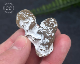Snakeskin Agate #7