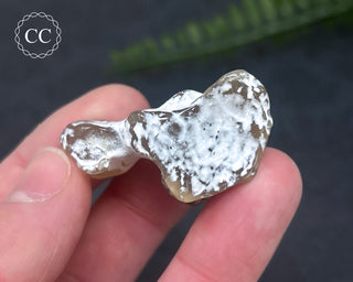 Snakeskin Agate #7