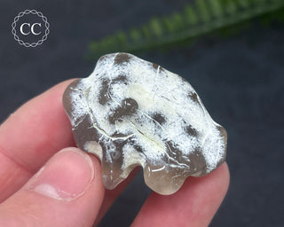 Snakeskin Agate #10