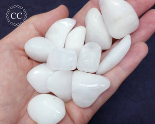Snow Quartz Tumbled Crystal