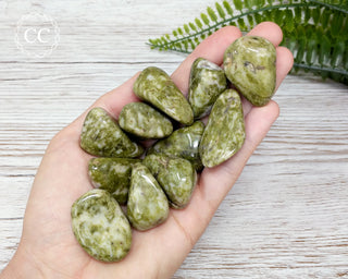 Snowflake Epidote Tumbled Crystal in hand