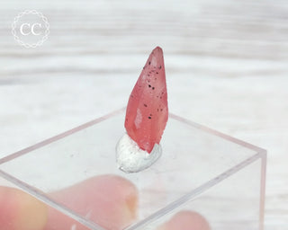 Rhodochrosite Crystal - N'Chwaning, South Africa #3