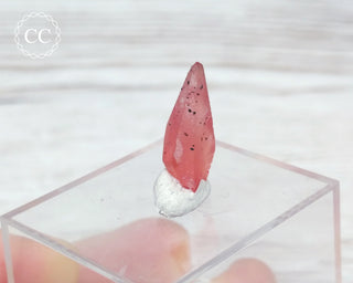 Rhodochrosite Crystal - N'Chwaning, South Africa #3