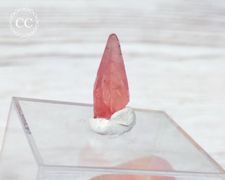 Rhodochrosite Crystal - N'Chwaning, South Africa #3