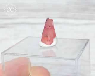 Rhodochrosite Crystal - N'Chwaning, South Africa #5