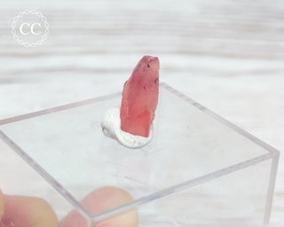 Rhodochrosite Crystal - N'Chwaning, South Africa #5