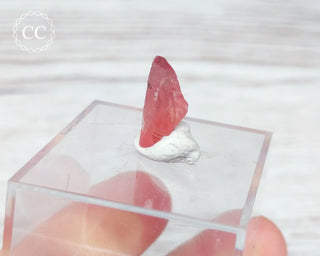 Rhodochrosite Crystal - N'Chwaning, South Africa #5