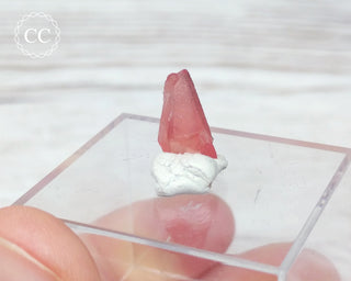 Rhodochrosite Crystal - N'Chwaning, South Africa #5