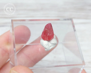 Rhodochrosite Crystal - N'Chwaning, South Africa #5