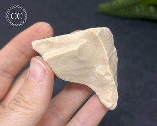Spencer Ice Cream Opal #6