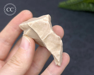 Spencer Ice Cream Opal #6