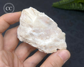 Spencer Ice Cream Opal #1