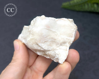 Spencer Ice Cream Opal #1