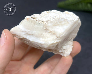 Spencer Ice Cream Opal #1