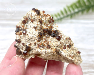 Spessartine Garnet #1