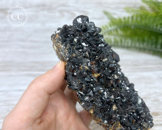Sphalerite - Elmwood Mine #1
