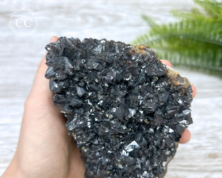 Sphalerite - Elmwood Mine #1