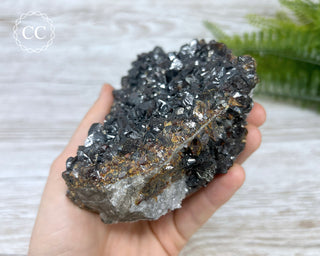Sphalerite - Elmwood Mine #1