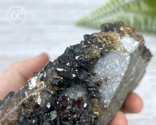 Sphalerite - Elmwood Mine #1