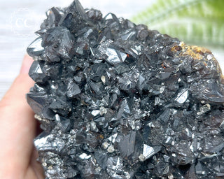 Sphalerite - Elmwood Mine #1