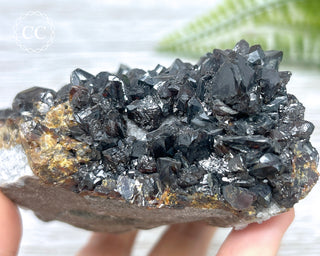 Sphalerite - Elmwood Mine #1