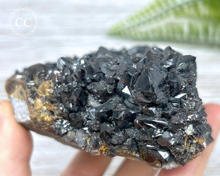 Sphalerite - Elmwood Mine #1