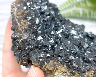 Sphalerite - Elmwood Mine #1